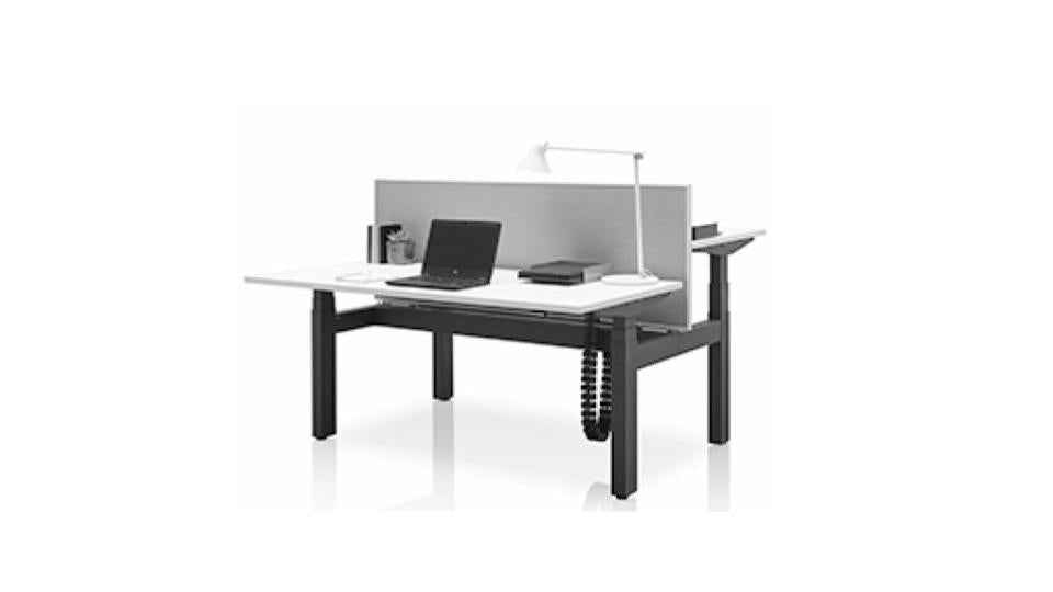 Dual Sit Stand Desks
